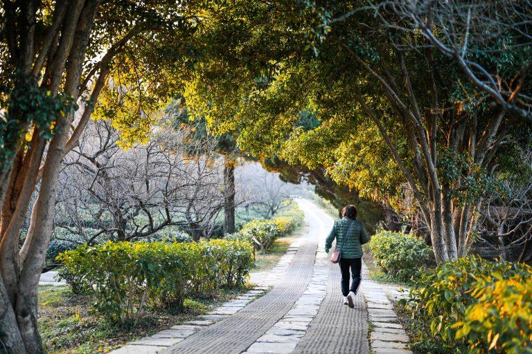 Feeling Lonely as an Adult? Small, Real-World Moves Help