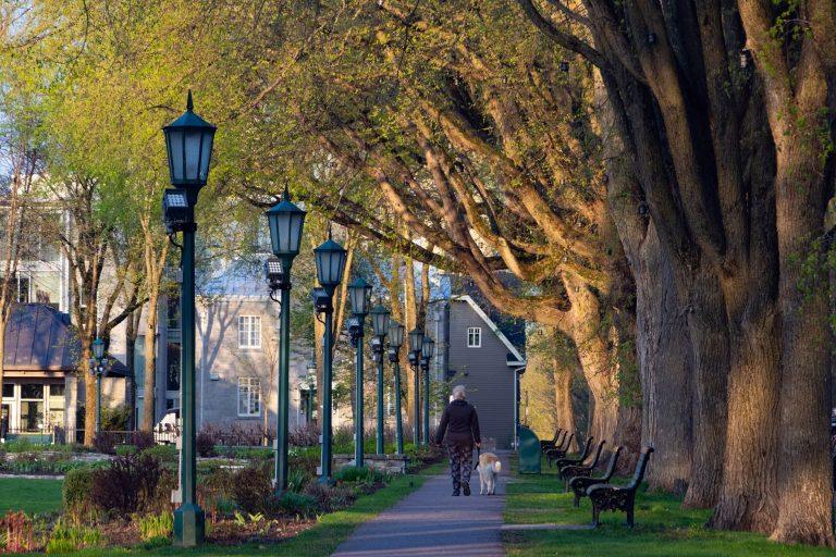 How to Walk More Every Day, One Small Step at a Time