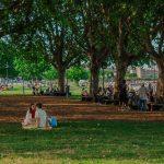 The Quiet Joy of Charlotte's Park Meetups