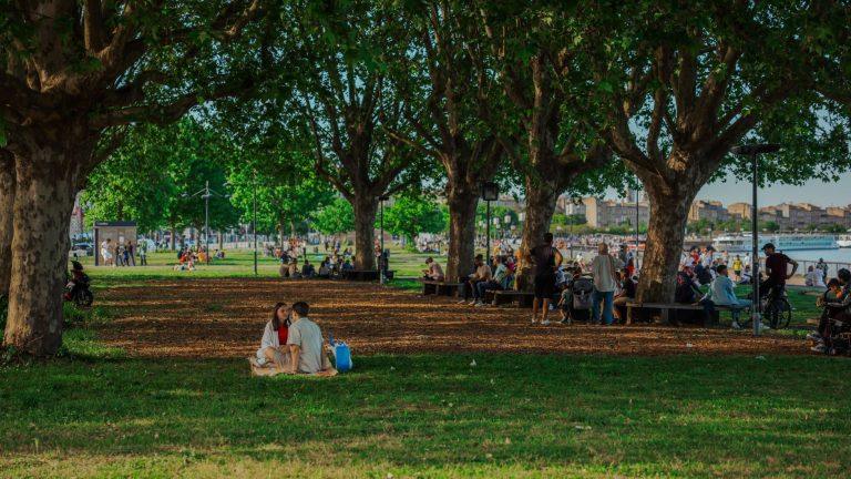 The Quiet Joy of Charlotte's Park Meetups