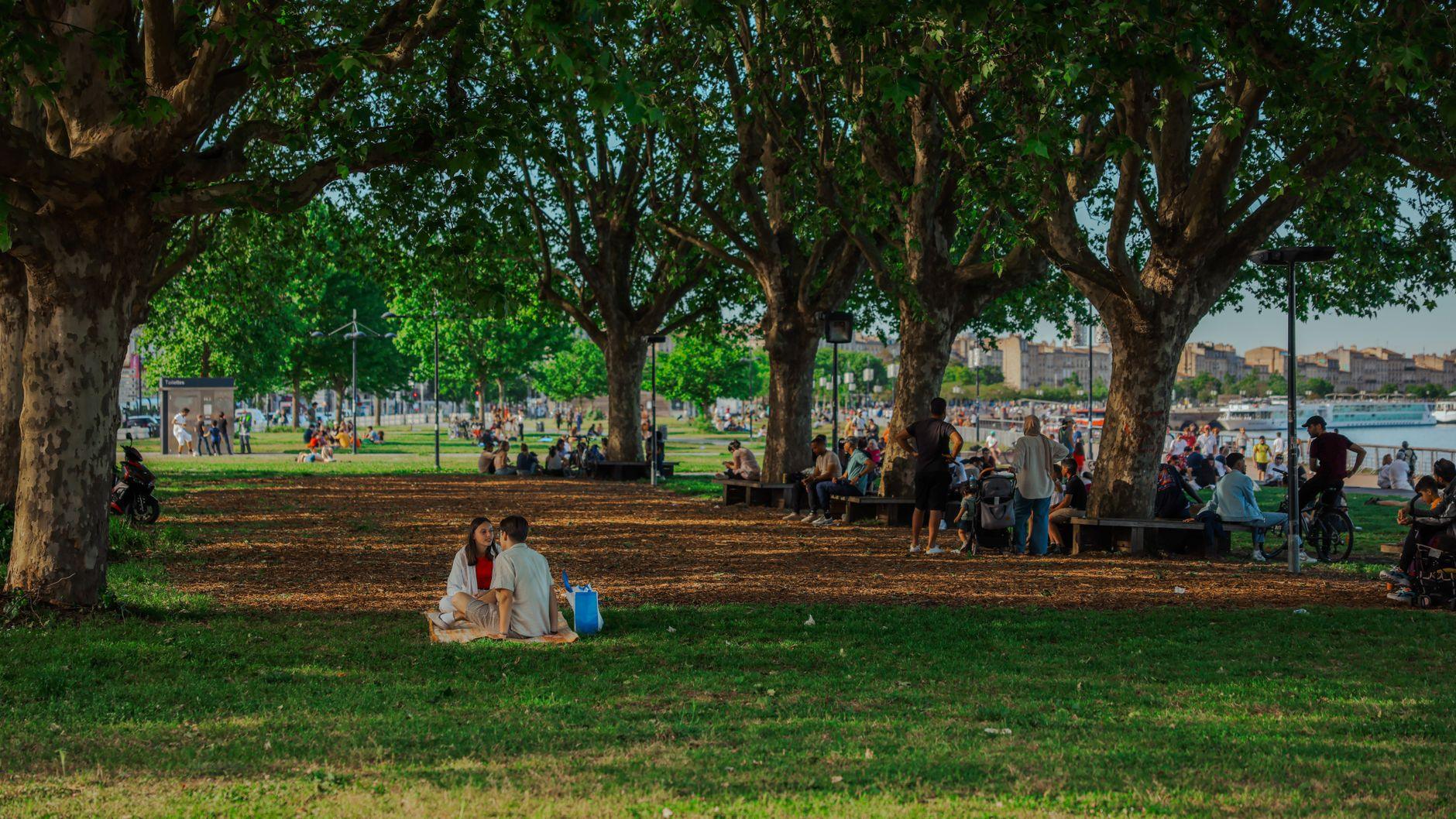 The Quiet Joy of Charlotte's Park Meetups