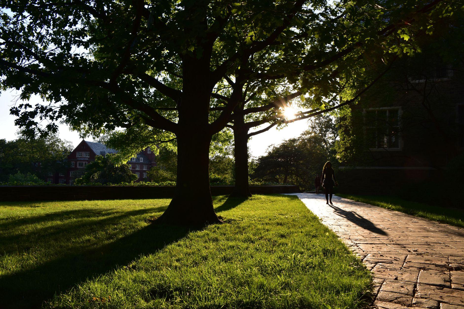 Start Walking More: Small Steps That Actually Stick