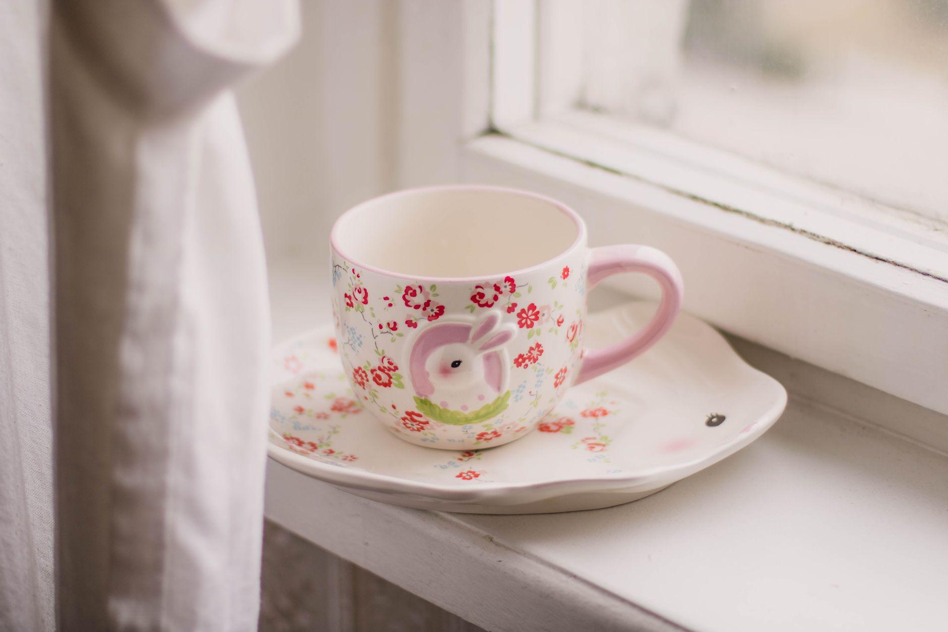 The Quiet Power of Tiny Daily Rituals (No Biohacking Needed)