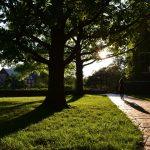 Start Walking More: The Gentle 500-Step Trick That Sticks